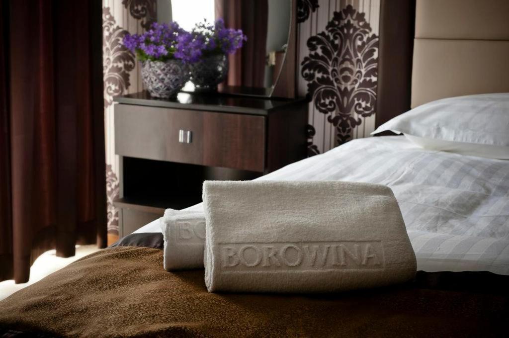 Hotel Borowina Konstancin-Jeziorna Kamer foto